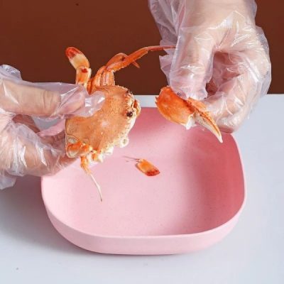 Food Grade Plastic Household Dining Plates | 10 pcs Elliptical Spit Bone Plate Set | Multi-Function & Durable thumbnail 2